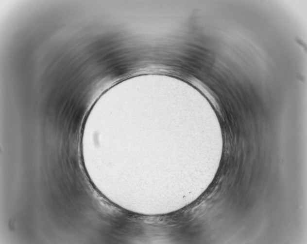 X0000093360861200711081513