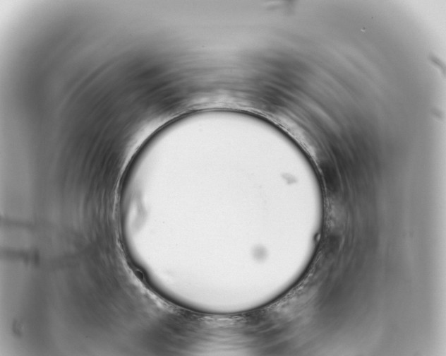 X0000093360863200711081513