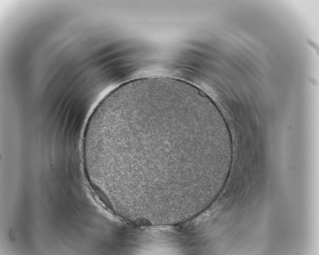 X0000093360864200711081513