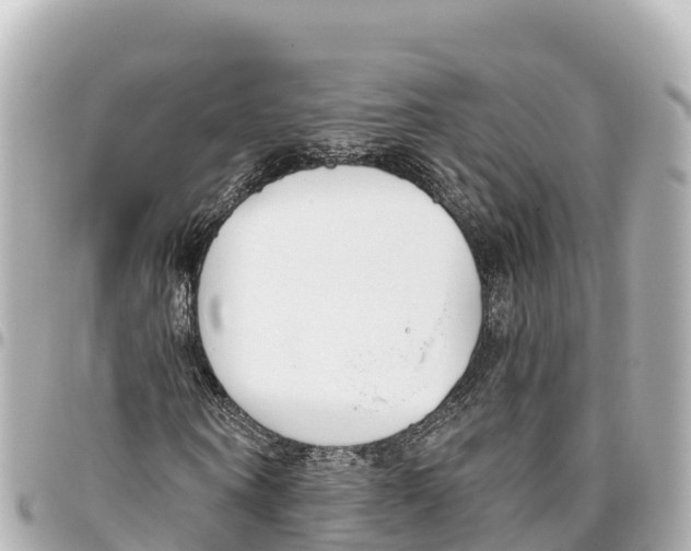 X0000093360866200711081512