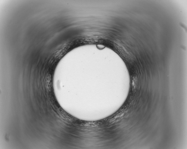 X0000093360867200711081512