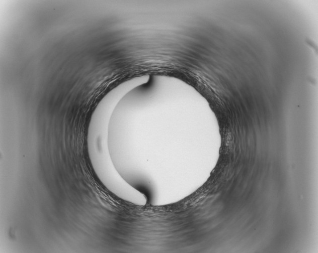 X0000093360868200711081512
