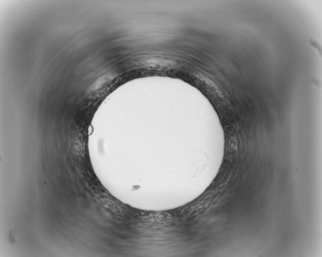 X0000093360869200711081512