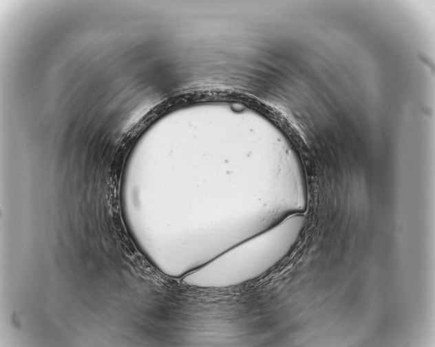 X0000093360871200711081512