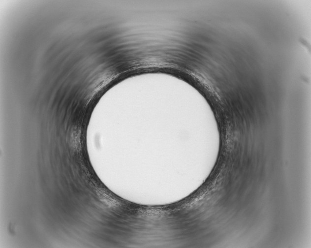 X0000093360873200711081512
