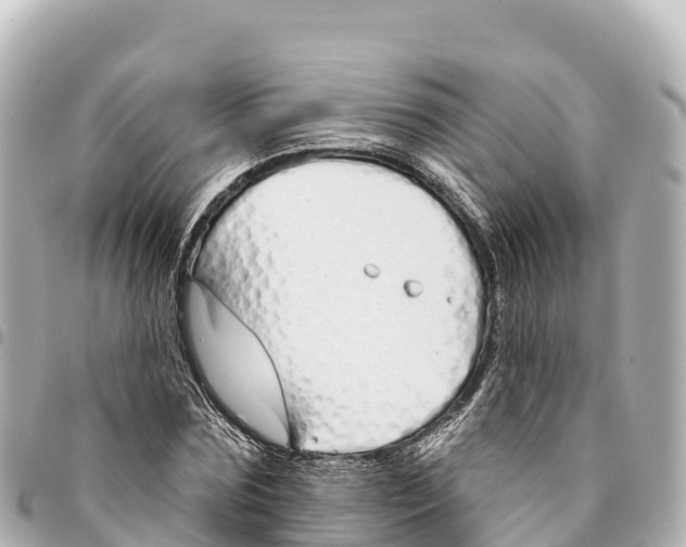 X0000093360875200711081512