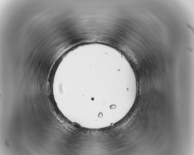 X0000093360876200711081512