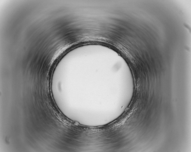 X0000093360877200711081512
