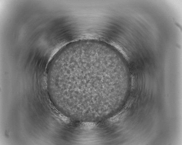 X0000093360878200711081512
