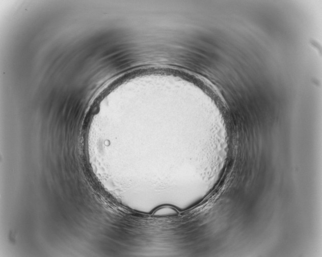 X0000093360879200711081512