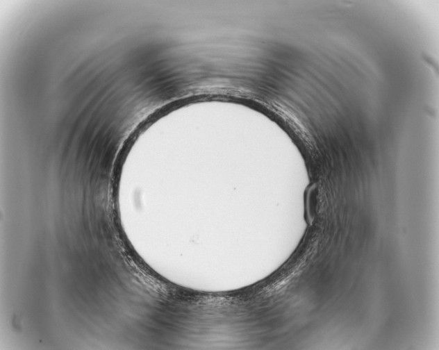 X0000093360880200711081512