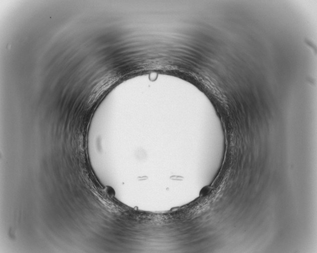 X0000093360881200711081512