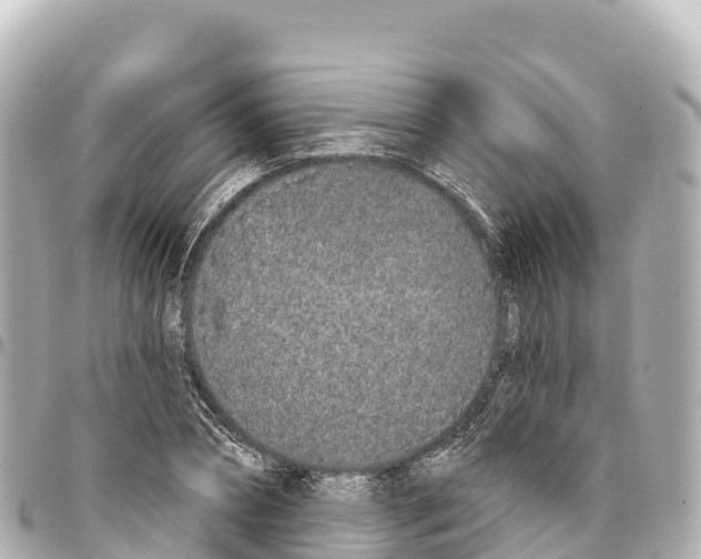 X0000093360882200711081512