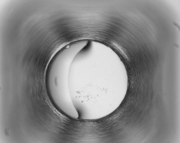 X0000093360884200711081512