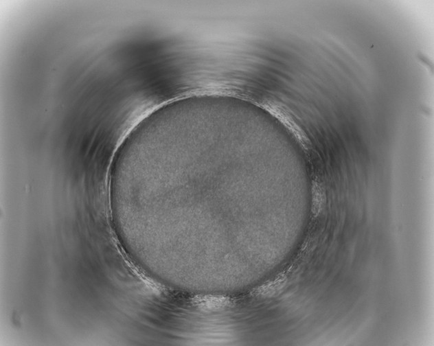 X0000093360886200711081512