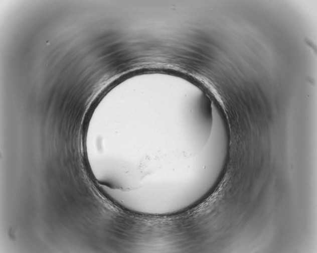 X0000093360887200711081512