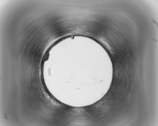 X0000093360888200711081512
