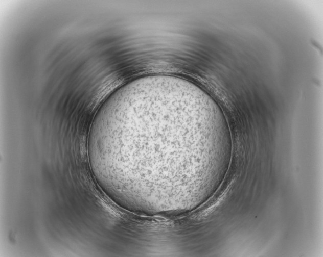 X0000093360889200711081512