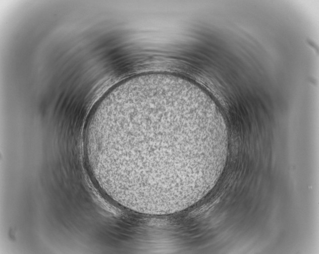 X0000093360890200711081512