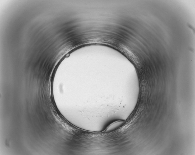 X0000093360892200711081512