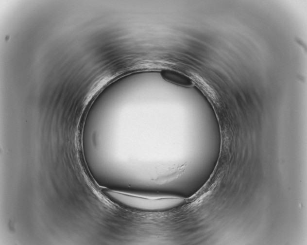 X0000093360893200711081512