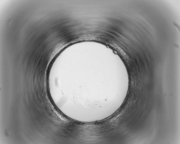 X0000093360894200711081512