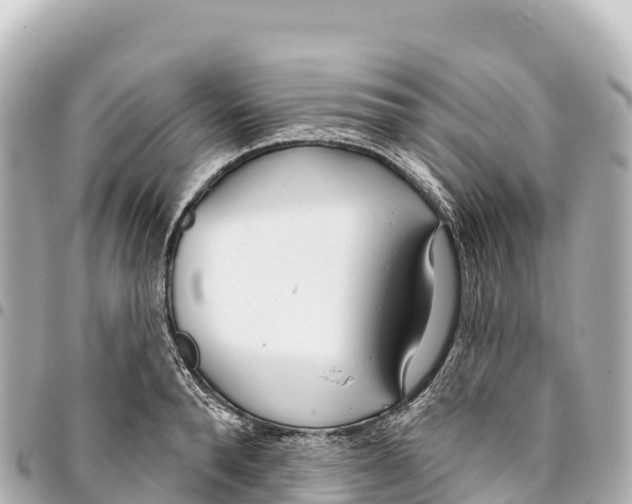 X0000093360896200711081512