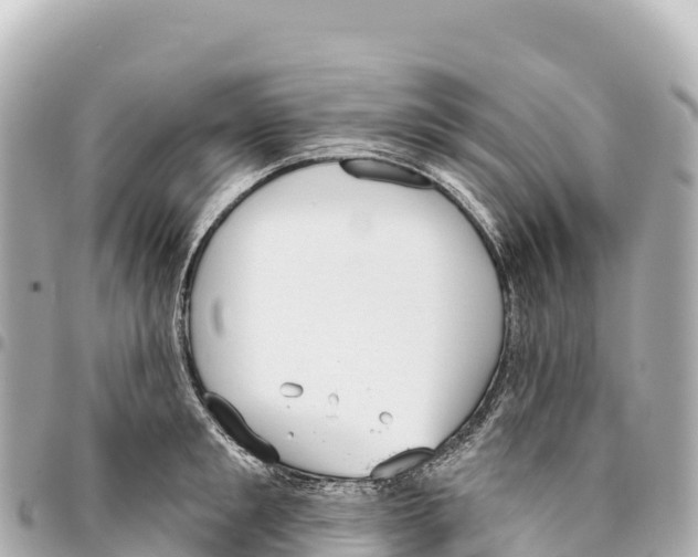 X0000093360901200711081512