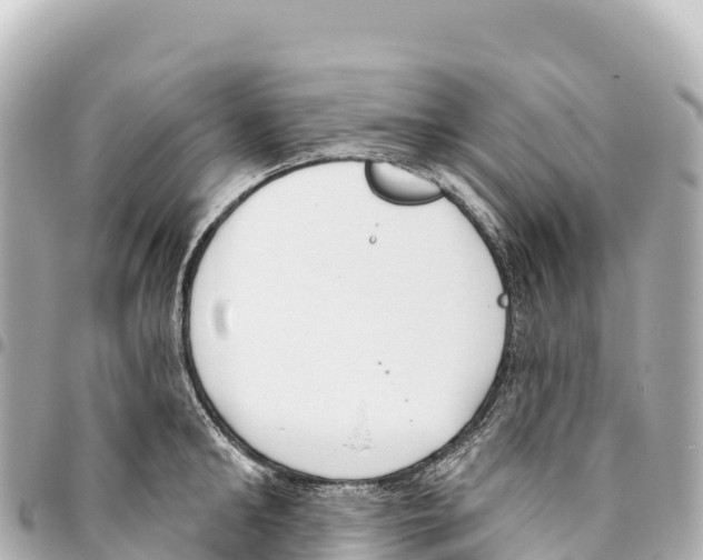 X0000093360902200711081512