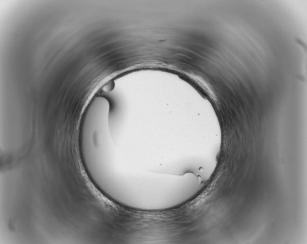 X0000093360903200711081512