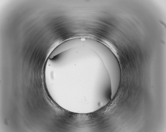 X0000093360907200711081512