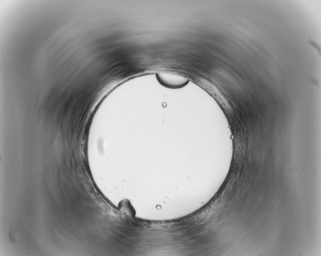 X0000093360908200711081512
