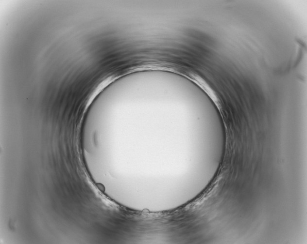X0000093360909200711081512