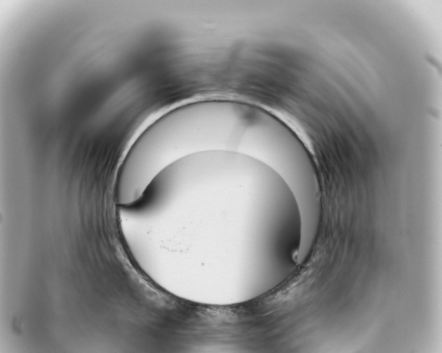 X0000093360911200711081512