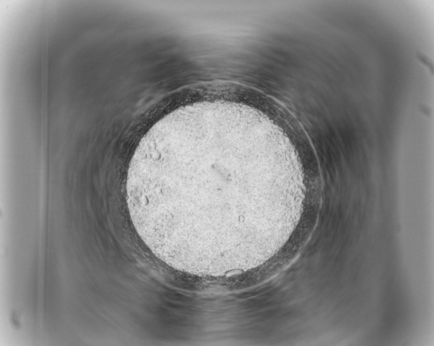 X0000093360913200711081511