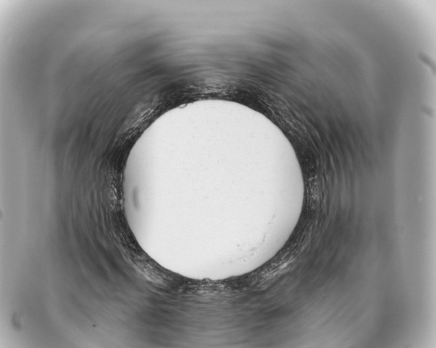 X0000093360916200711081511