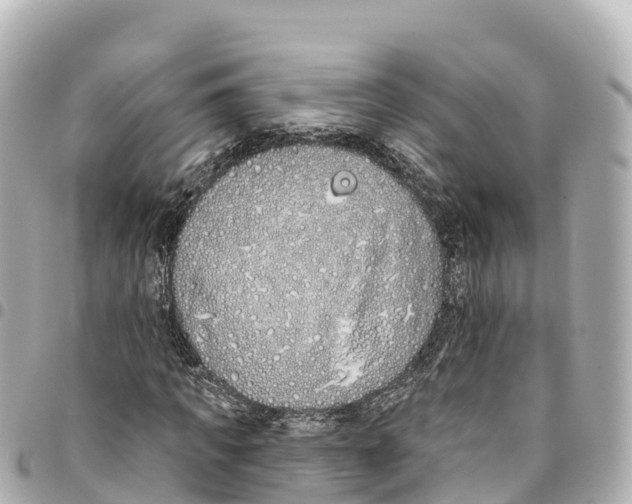X0000093360917200711081511