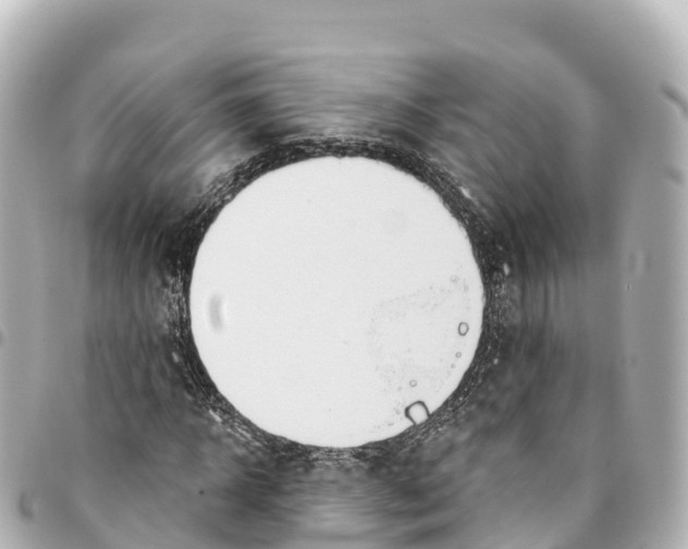 X0000093360918200711081511