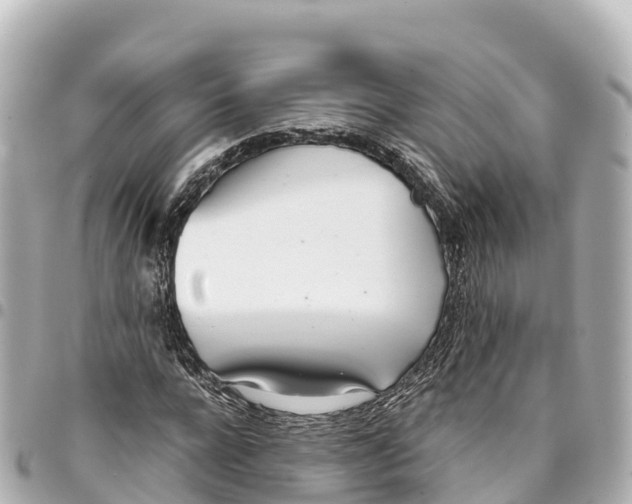 X0000093360920200711081511