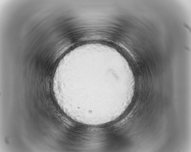 X0000093360921200711081511