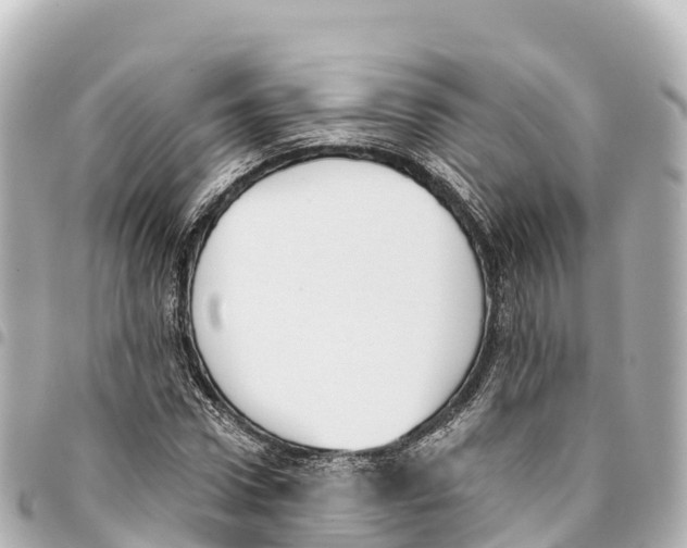 X0000093360922200711081511