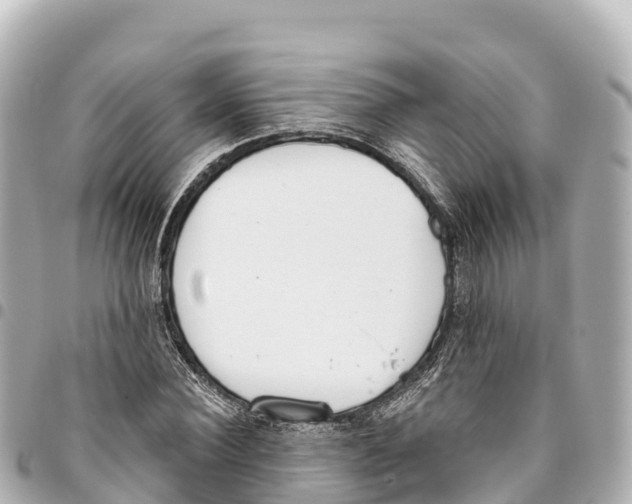 X0000093360924200711081511