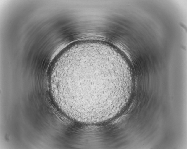 X0000093360925200711081511