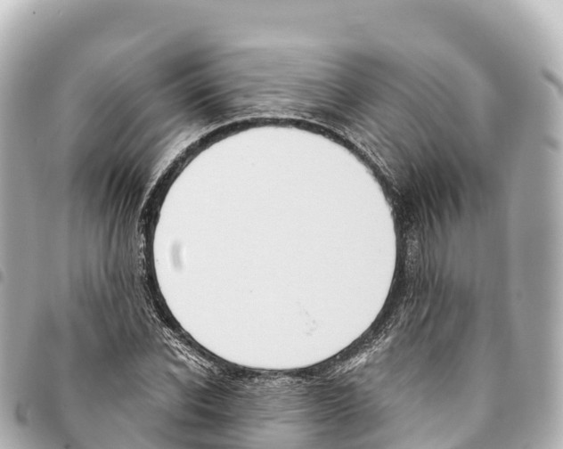 X0000093360926200711081511