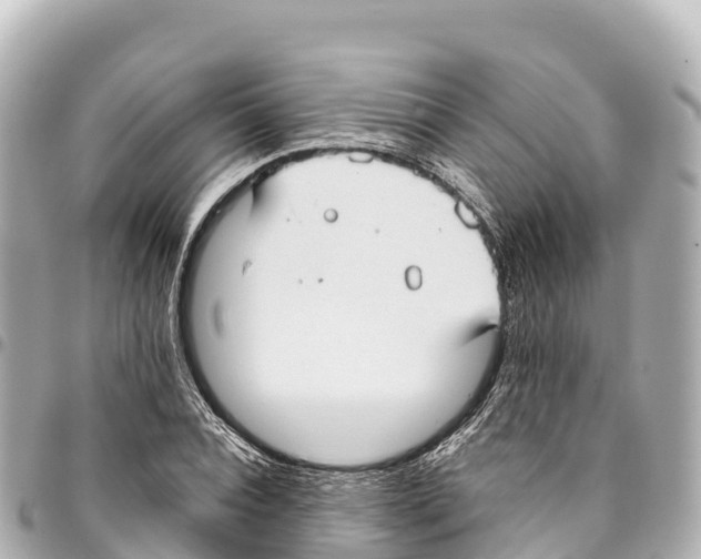 X0000093360928200711081511