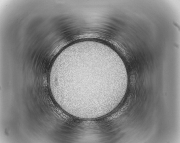 X0000093360929200711081511