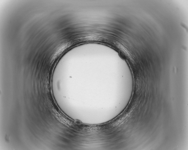 X0000093360930200711081511