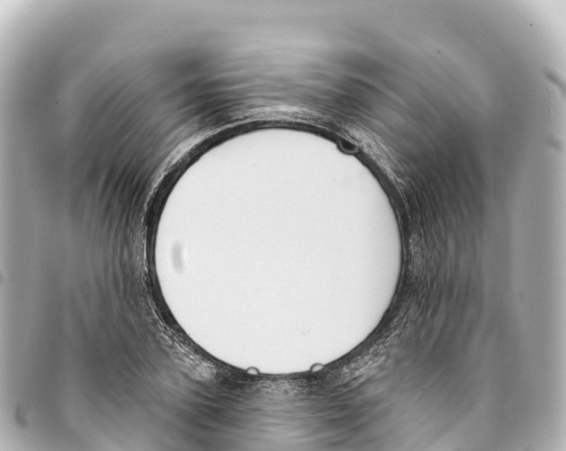 X0000093360931200711081511
