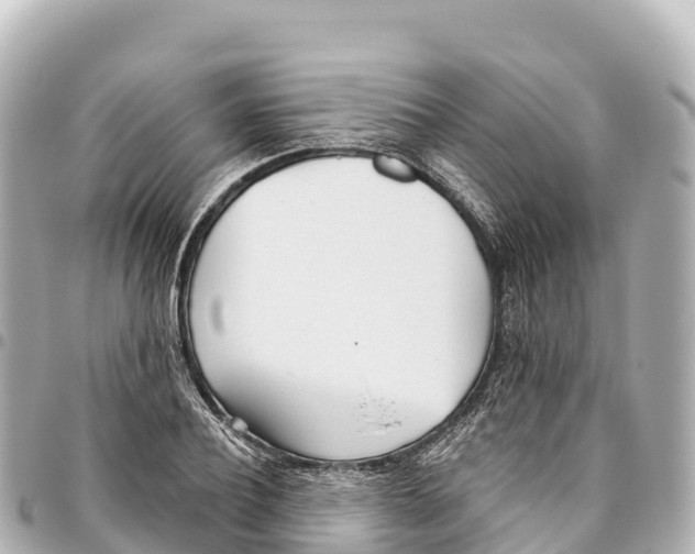 X0000093360932200711081511