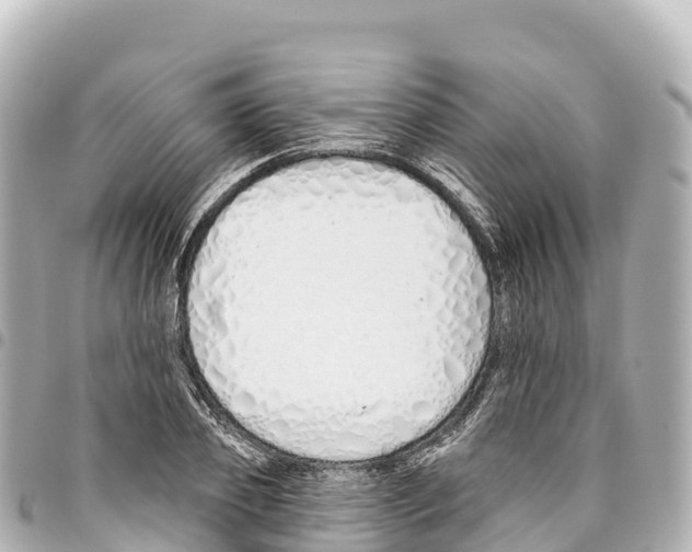 X0000093360933200711081511